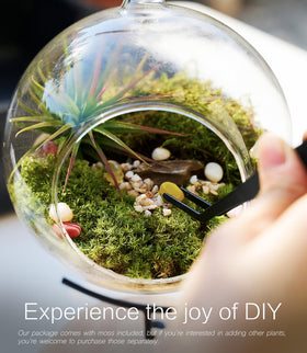 LUCKYRUNES desktop terrarium fits desks, shelves, and cozy office corners.