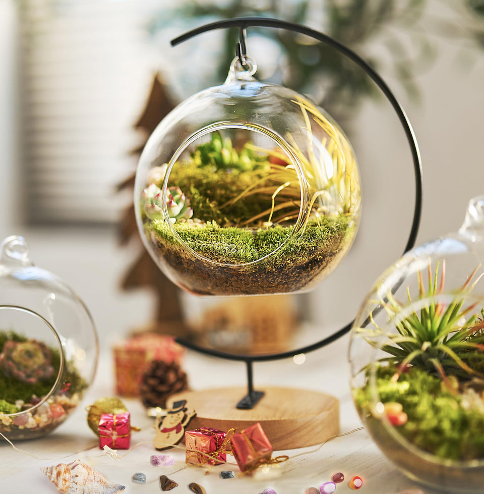 LUCKYRUNES terrarium globe with live moss adds natural calm to small spaces.
