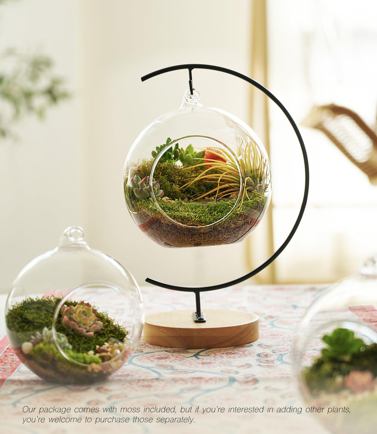LUCKYRUNES nutrient soil supports vibrant moss growth in a compact kit.