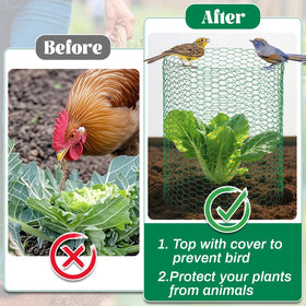 Lucomb galvanized wire cloche assembly resists rust for durable garden protection.