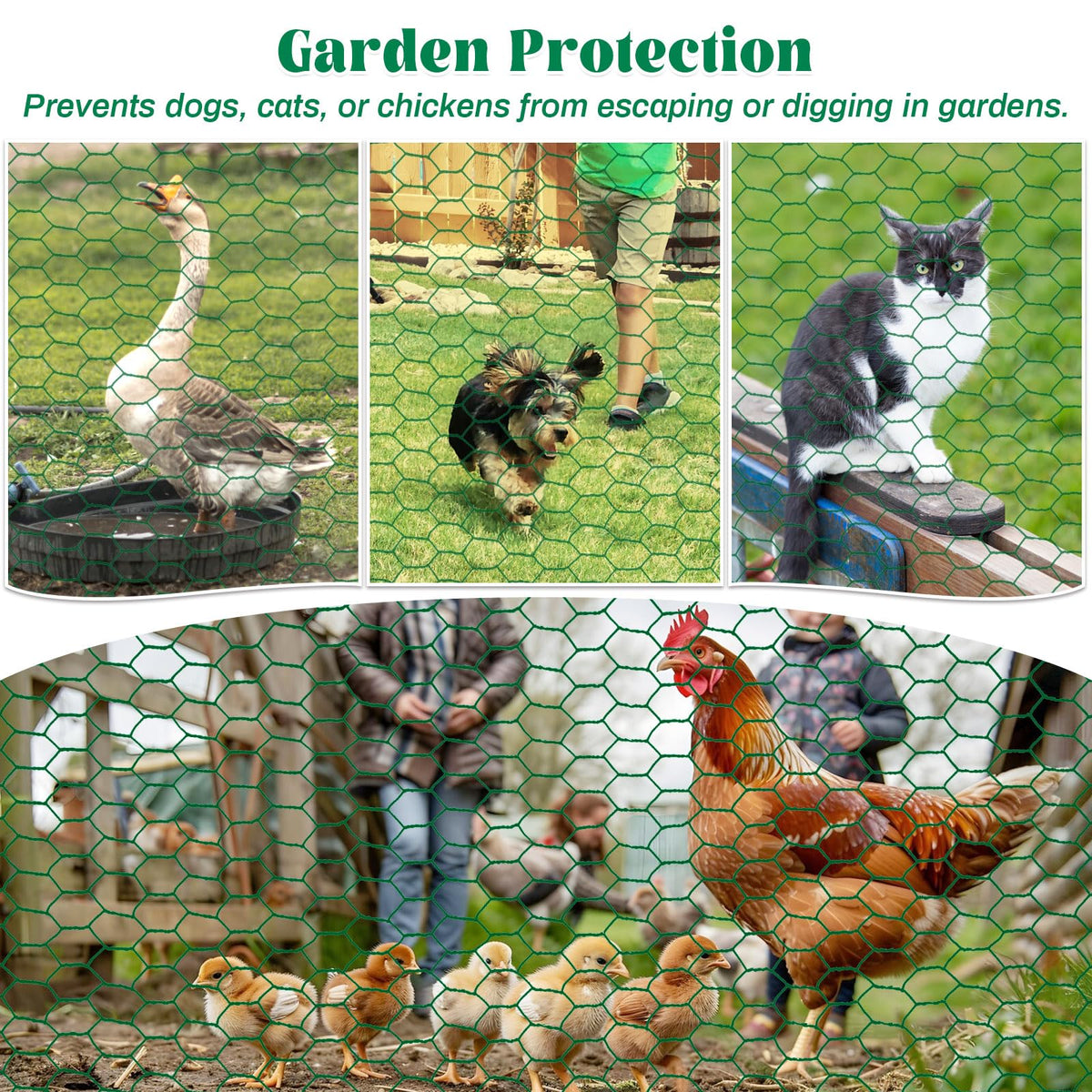 Lucomb rust resistant wire protector guards gardens against rabbits and birds.