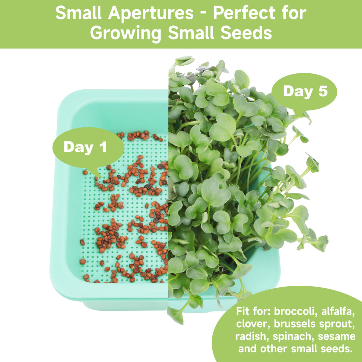 LUVCOSY four-pack sprouter kit ready for broccoli, alfalfa, radish