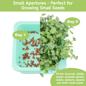 LUVCOSY four-pack sprouter kit ready for broccoli, alfalfa, radish