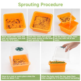 LUVCOSY beginner-friendly seed soaking and rinsing process