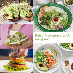 LUVCOSY microgreen setup on a kitchen countertop