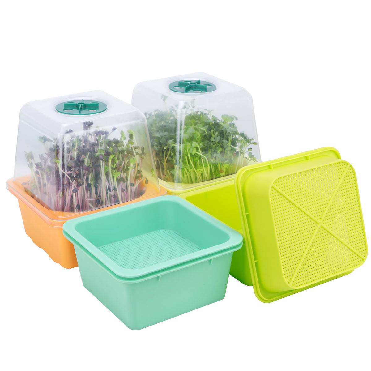 LUVCOSY microgreen trays front view for a four-pack sprouter set