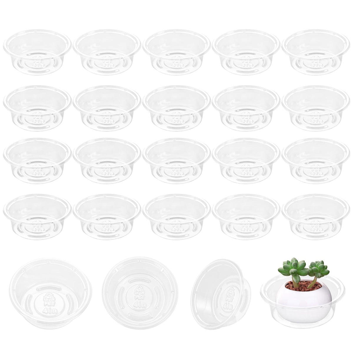 Lucpur transparent dish complements decor while keeping the display visible
