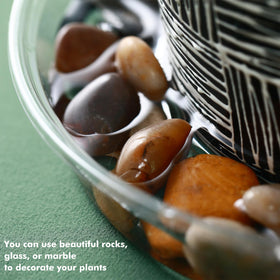 Lucpur durable lightweight plastic tray supports weight without bending
