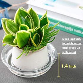 Lucpur plant saucer indoor-outdoor use resists weathering and cracking