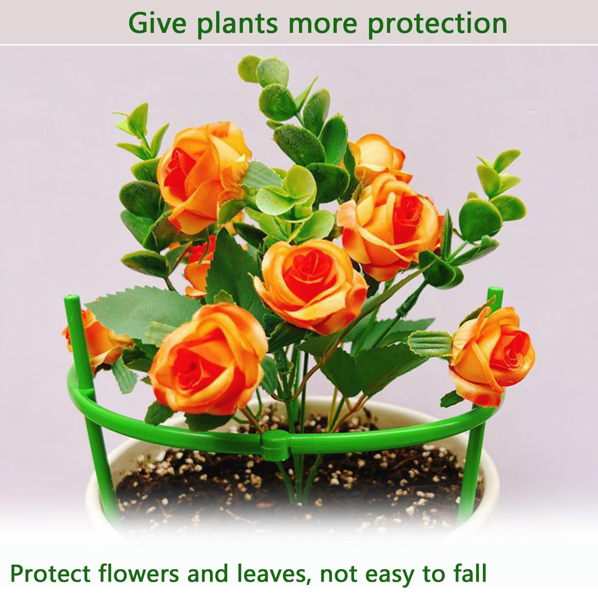 Luexian monstera climbing support helps stems rise neatly.