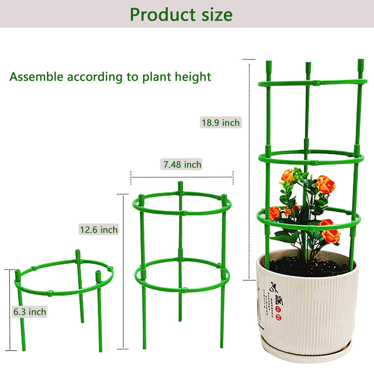Luexian tomato stake support keeps vines organized and productive.
