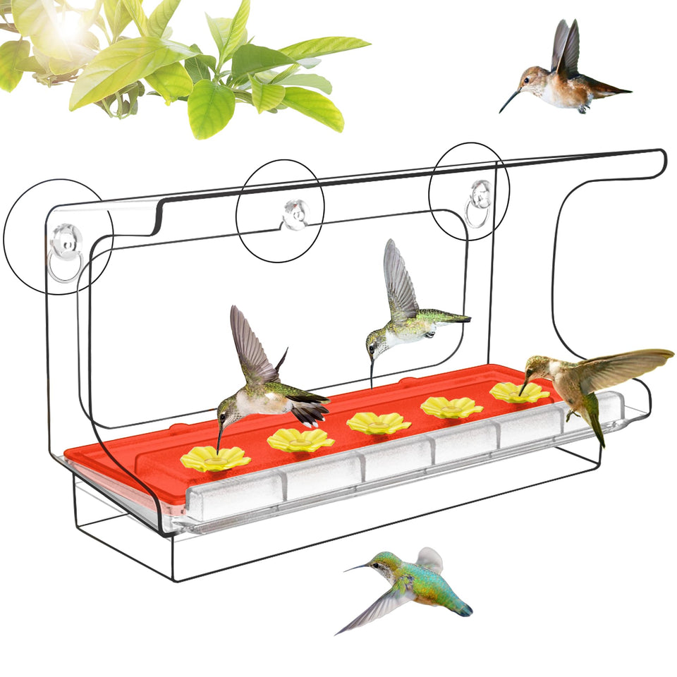 LUJII all-in-one window hummingbird feeder with strong suction cups for secure mounting.