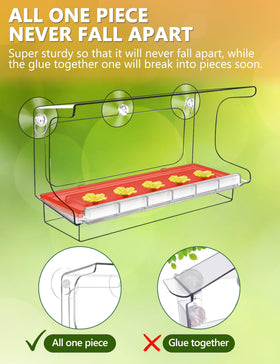 LUJII window hummingbird feeder showcasing backless design for unobstructed viewing.