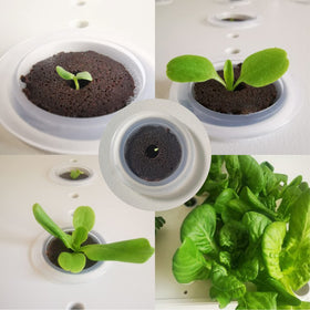 lukandafi Grow Sponges readily fit most hydroponic setups for home gardens.