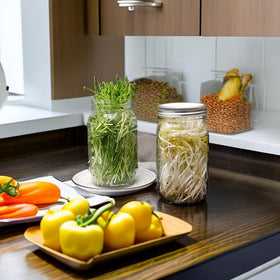 Lulonpon germination stand elevates jars for even ventilation.