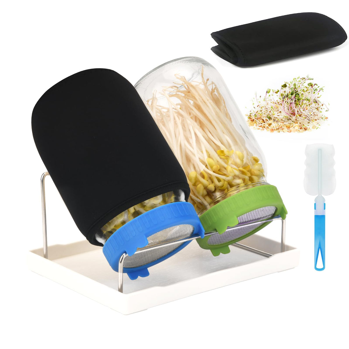 Lulonpon sprouting kit with two glass jars for easy home sprouts