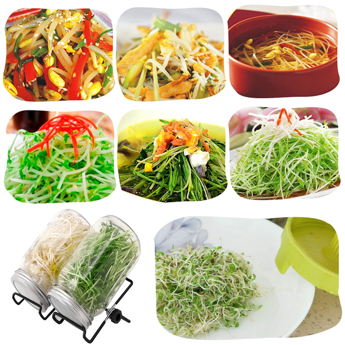 Lulonpon Sprouting Kit stainless bracket: sturdy support for stable sprouting setups.