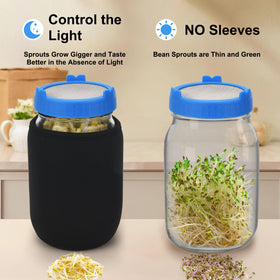 Lulonpon sprouting kit drip tray keeps surfaces clean during germination