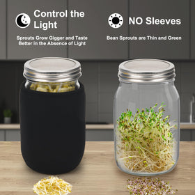 Lulonpon Sprouting Kit drip tray keeps your sprout jar clean and dry.