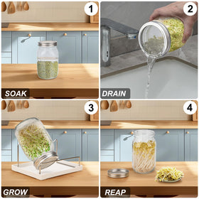 Lulonpon Sprouting Kit stainless steel lids provide durable, food-safe germination coverage.