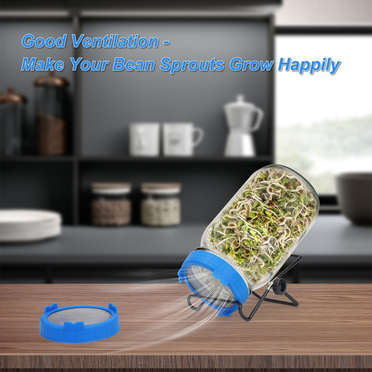 Lulonpon mesh-screen lids provide airflow while keeping seeds contained.