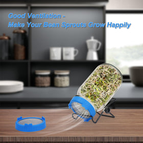 Lulonpon mesh-screen lids provide airflow while keeping seeds contained.