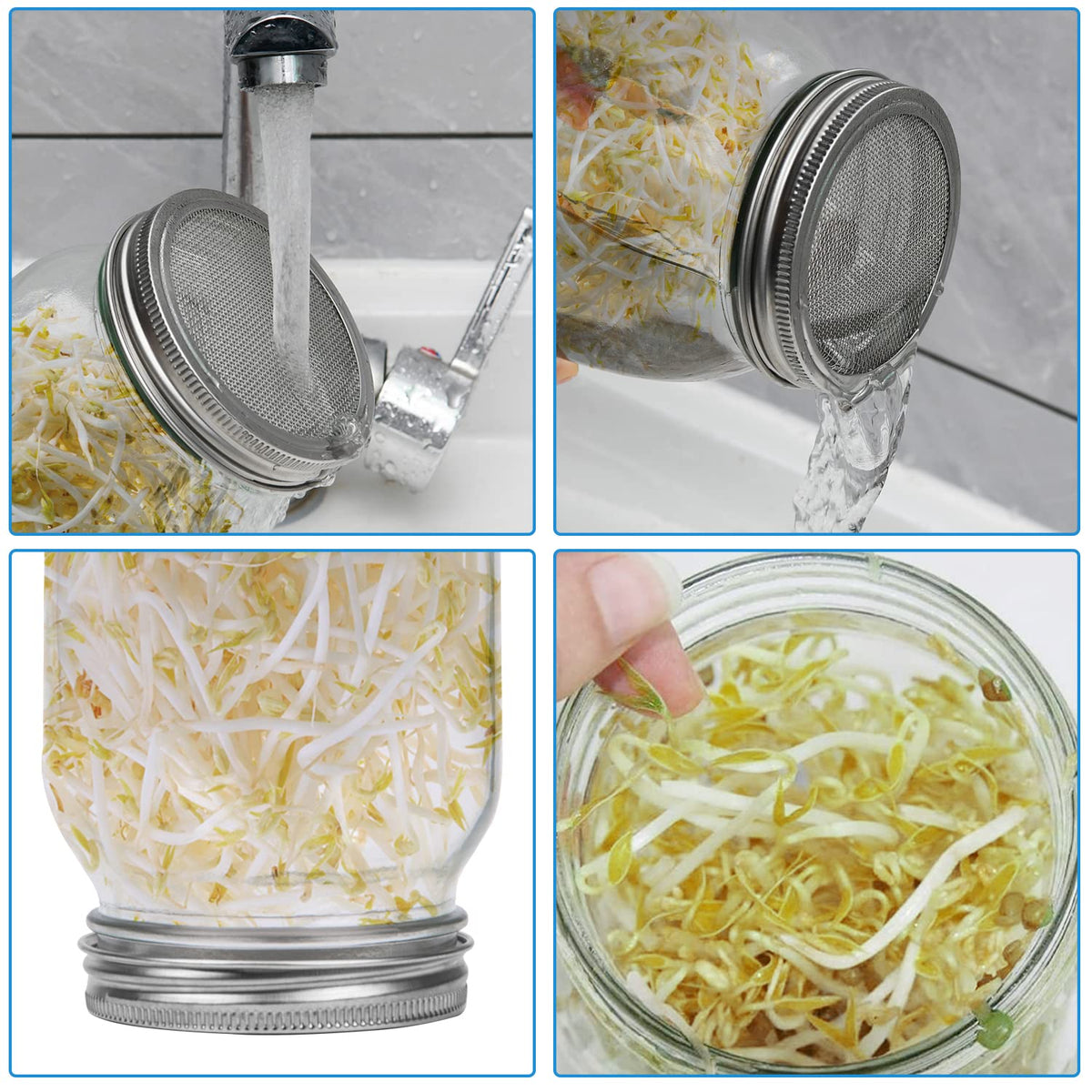 Lulonpon sprouts sprout brush aids cleaning after harvest.