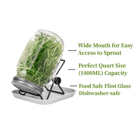 Lulonpon sprouts stainless steel lids offer durable, rust-resistant germination lids.