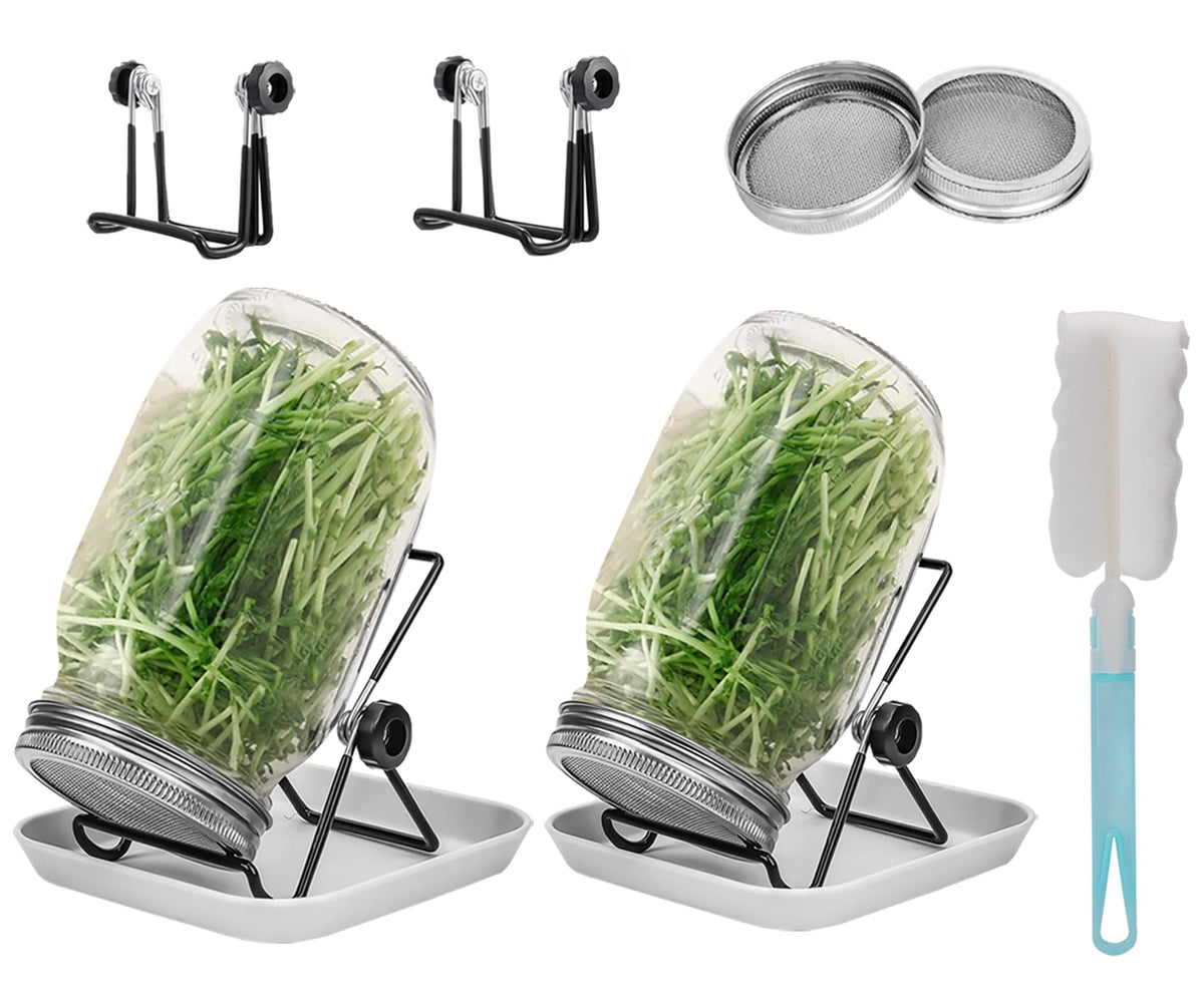 Lulonpon sprouts wide-mouth jar two-pack for easy sprouting and quick cleanup.