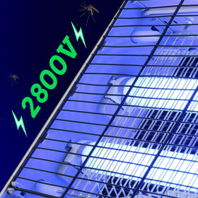 Lulu Home 2800V grid delivers rapid indoor insect elimination