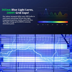 Lulu Home blue light attractant creating an inviting glow for insects