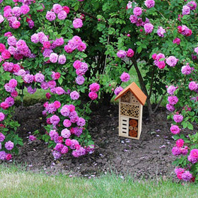 Lulu Home insect house hanging loop enables easy garden display.