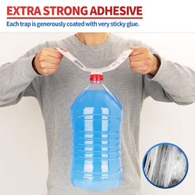 LULUCATCH 12-pack sticky traps offer four placements for flexible indoor use.