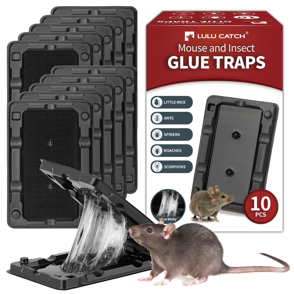 LULUCATCH glue trap 10-pack ready for quick indoor pest control.