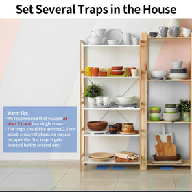 LULUCATCH indoor pest control application demonstrates versatile use in homes and offices.