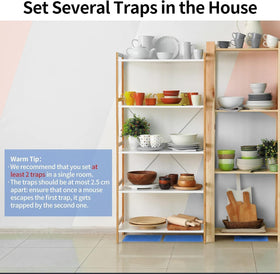 LULUCATCH indoor use in kitchen or basement for quick results.