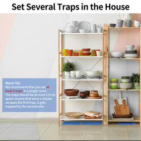 LULUCATCH indoor wide-applicability for basements, kitchens, warehouses.
