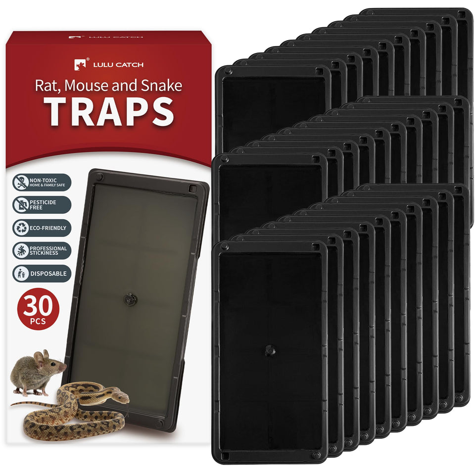 LULUCATCH large-tray glue trap designed to capture larger rodents.
