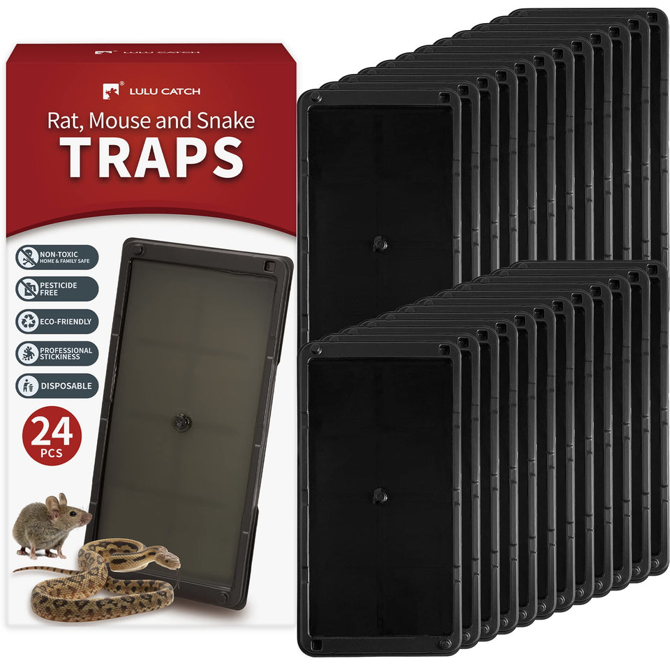 LULUCATCH mouse glue trap 24-pack tray captures larger rodents with a sturdy, secure design.