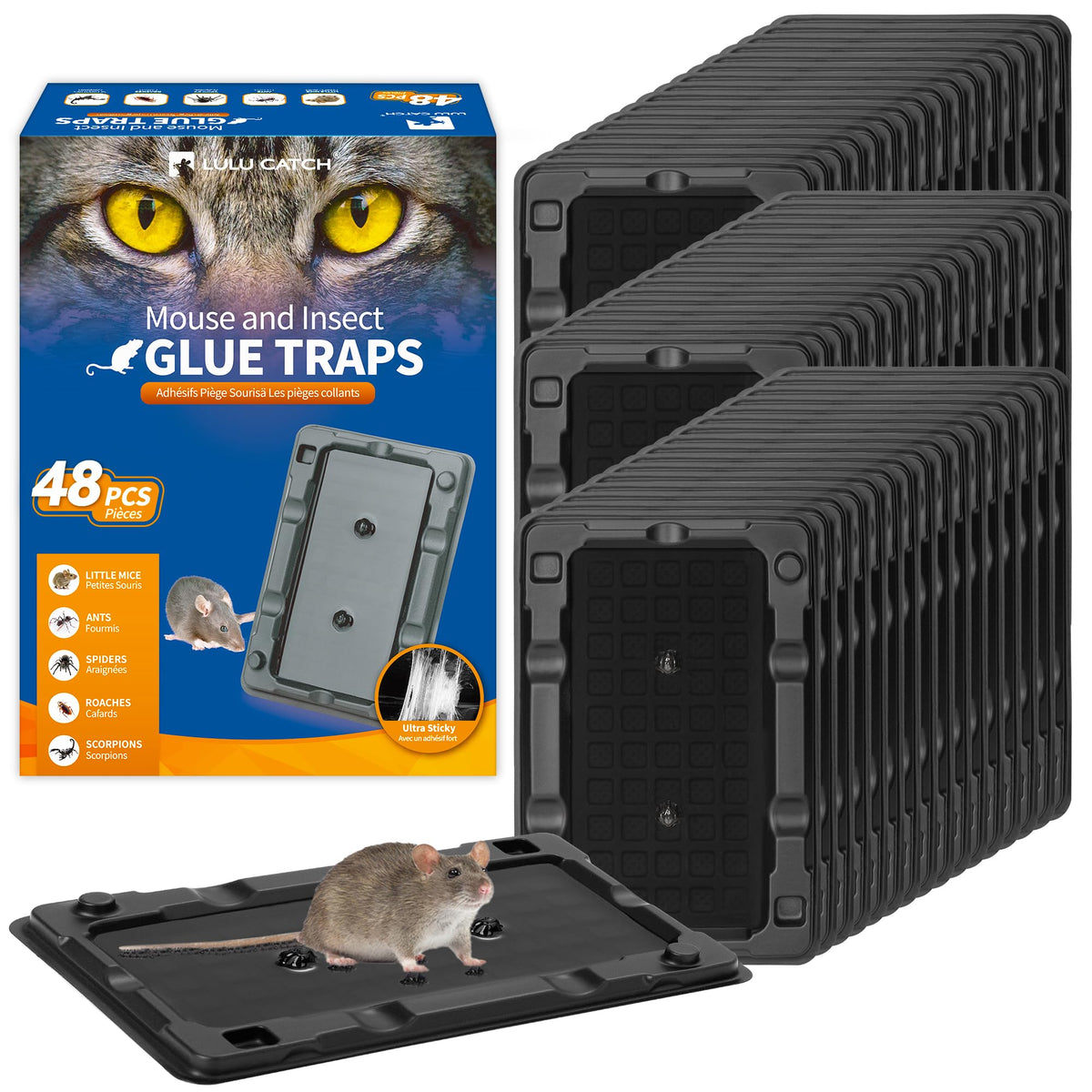 LULUCATCH mouse glue trap adhesive board in action along wall for effective capture.