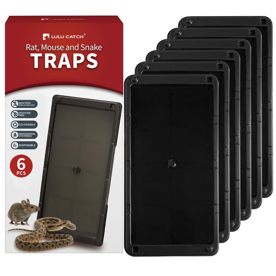 LULUCATCH mouse glue trap tray sturdy captures larger rodents for indoor use.