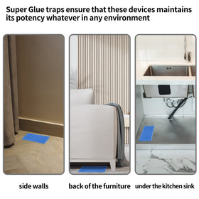 LULUCATCH traps designed for safe indoor use around families and pets.
