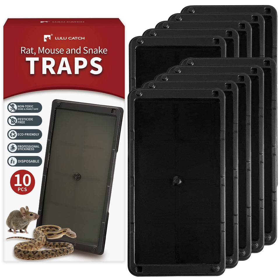 LULUCATCH mouse glue trap tray large shows sturdy, large tray design for effective indoor catches.