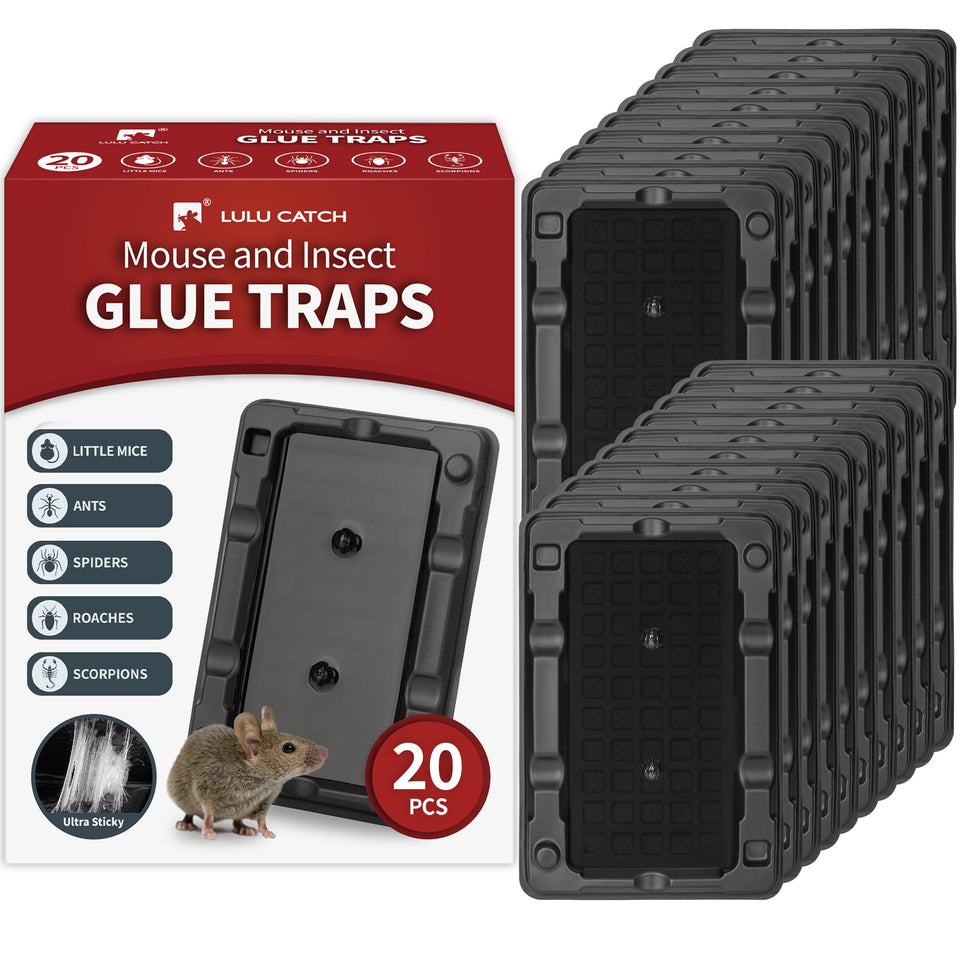 LULUCATCH mouse-insect-traps-20-pack ready to place along walls indoors.