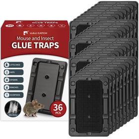LULUCATCH mouse-trap close-up showing non-toxic glue suitable for indoor use