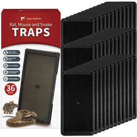 LULUCATCH mouse trap front view showing large tray for secure capture