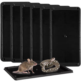 LULUCATCH mouse trap with large tray captures bigger rodents efficiently.