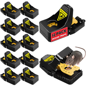 LULUCATCH mouse trap quick-set shows fast capture in action.
