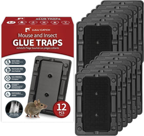 LULUCATCH mouse trap sticky setup demonstrates easy placement for rapid pest capture.
