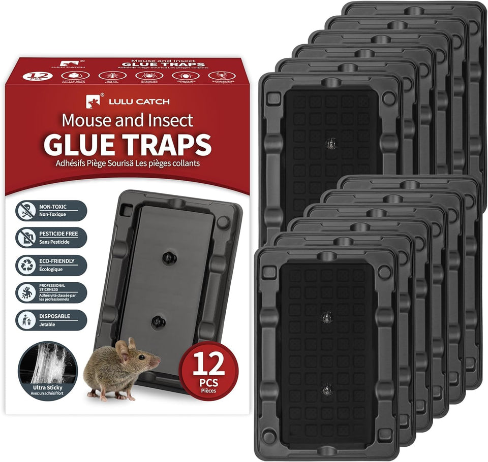 LULUCATCH mouse trap sticky setup demonstrates easy placement for rapid pest capture.